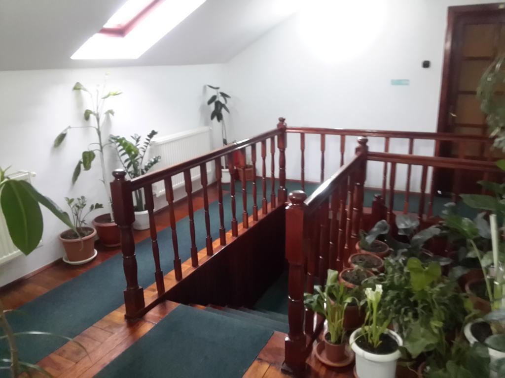 Pensiunea Doina & Jeno Targu Mures Ngoại thất bức ảnh
